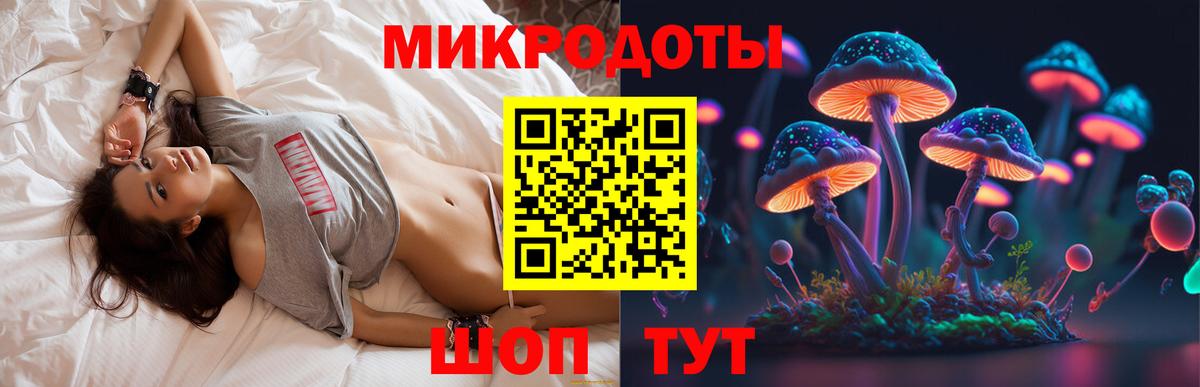 Псилоцибиновые грибы GOLDEN TEACHER Мурманск